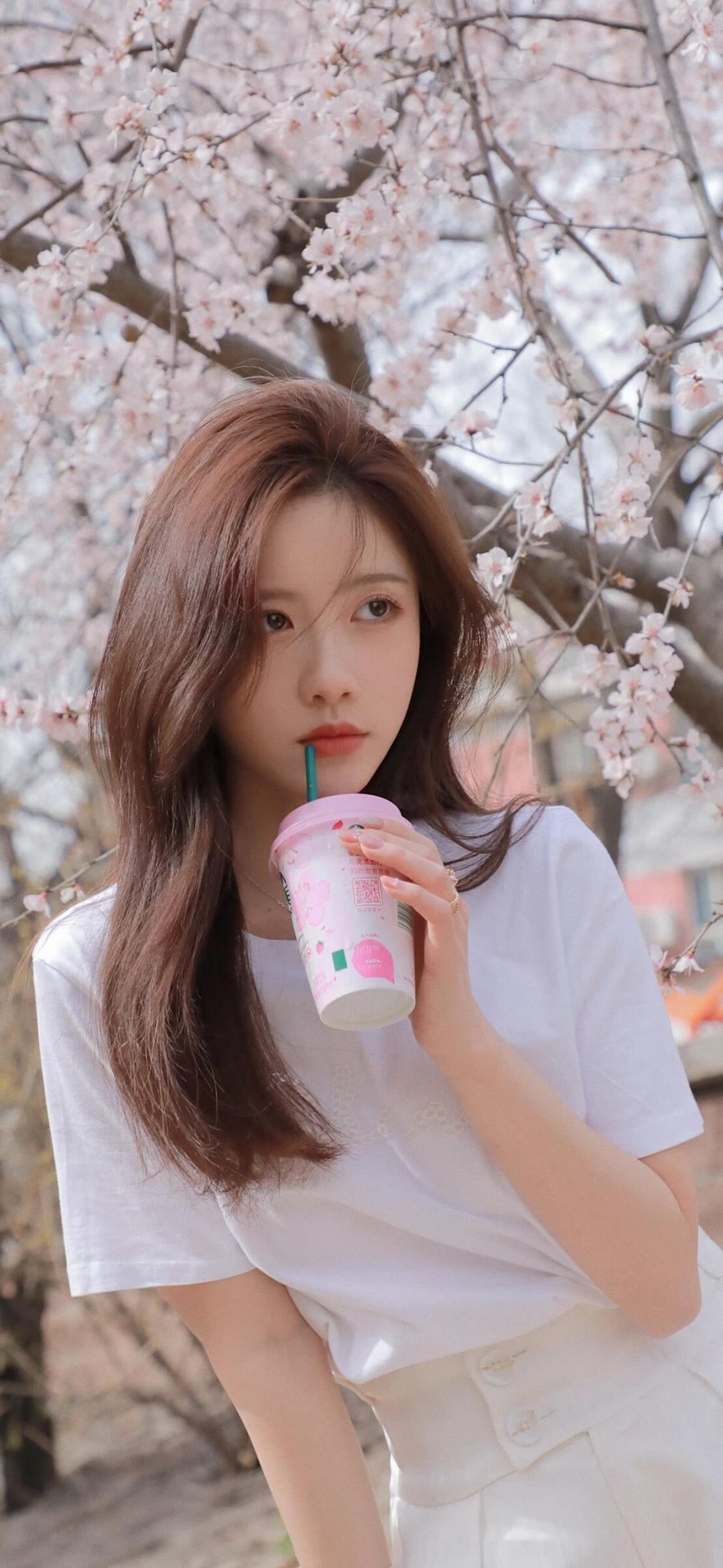 0.01抖音作品点赞自助