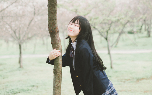 0.01抖音作品点赞自助