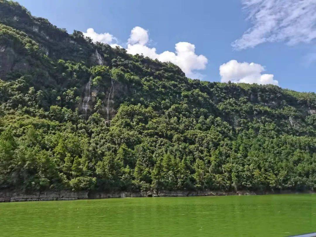 0.01抖音作品点赞自助