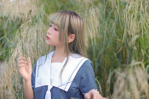 0.01抖音作品点赞自助